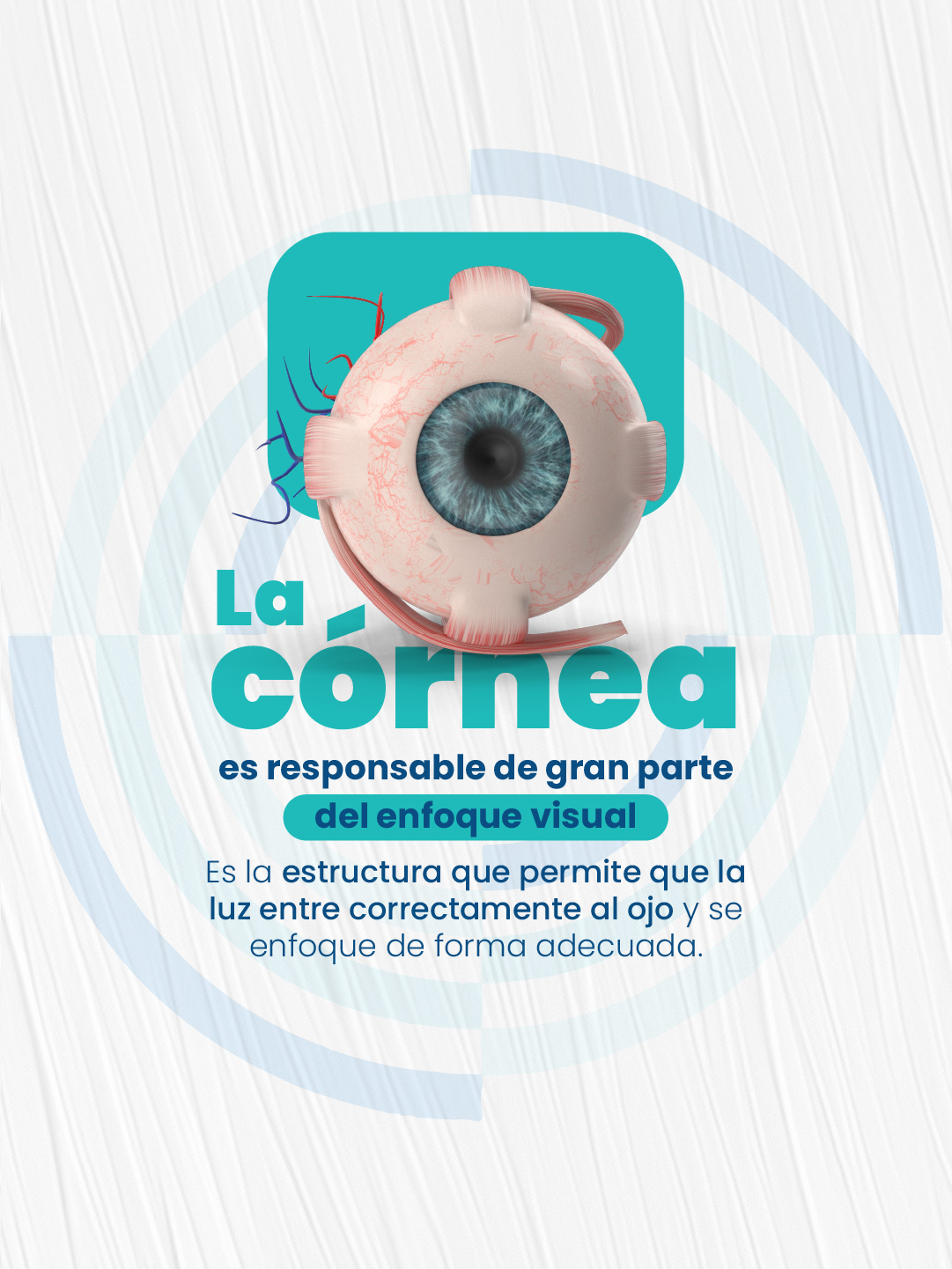 La córnea es responsable de gran parte del enfoque visual del ojo