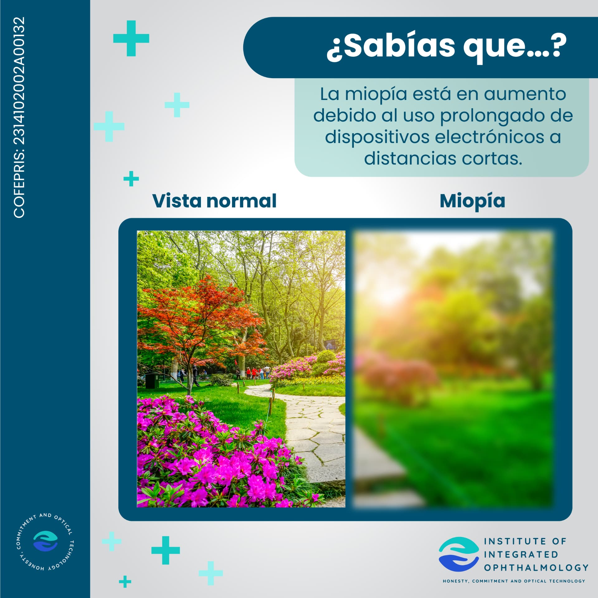 Comparación entre vista normal y visión borrosa por miopía